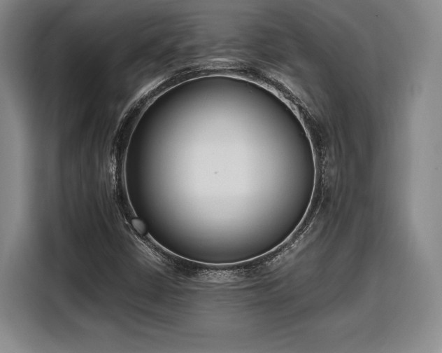 X0000108481402200904091428