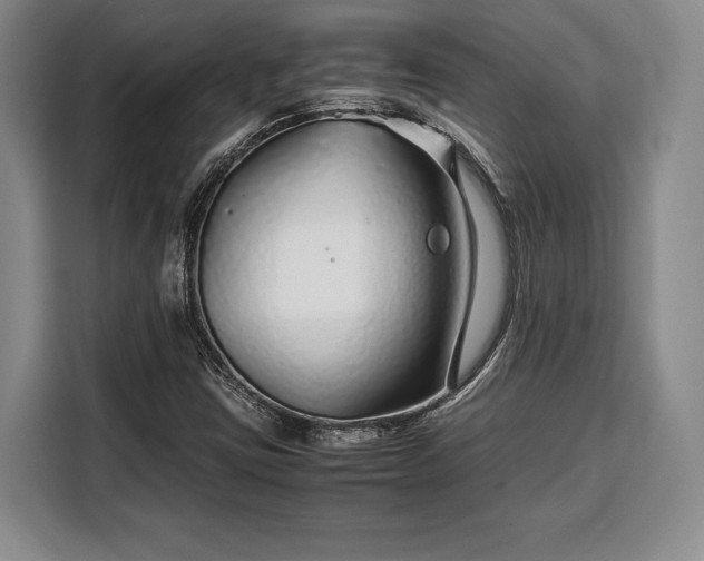 X0000108481403200904091428