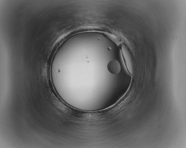X0000108481404200904091428