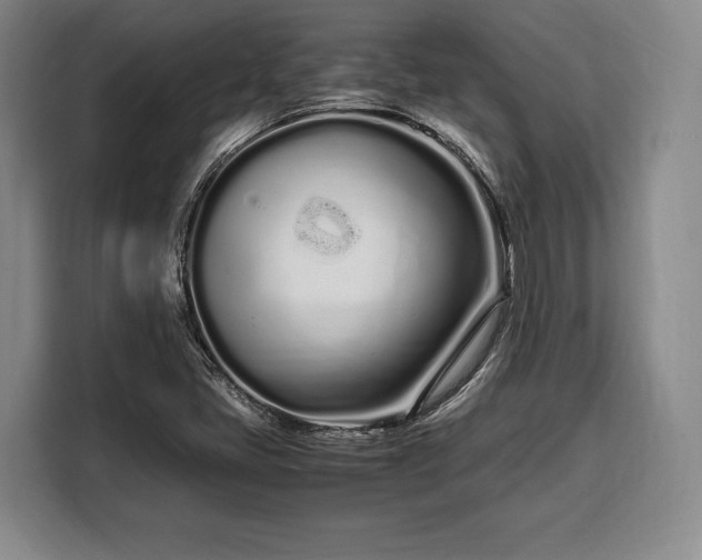 X0000108481405200904091428