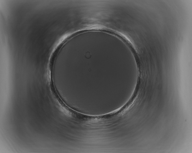 X0000108481414200904091428