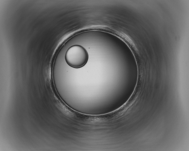 X0000108481420200904091428