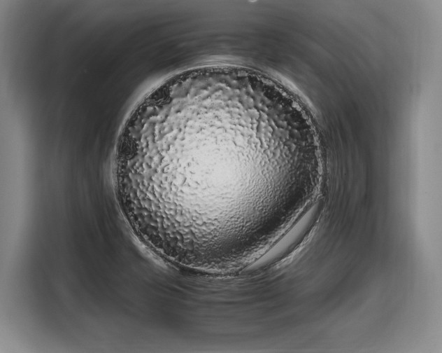 X0000108481421200904091428