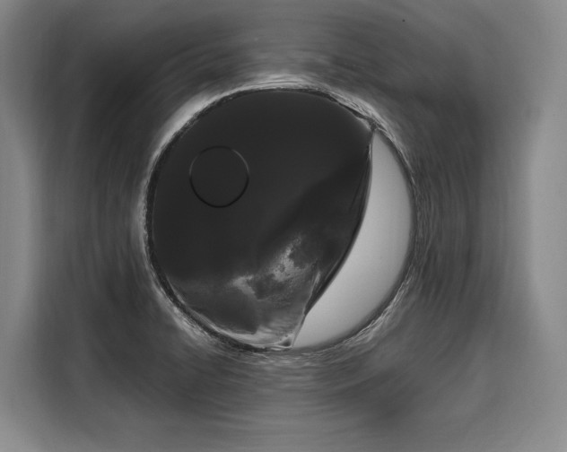 X0000108481422200904091428
