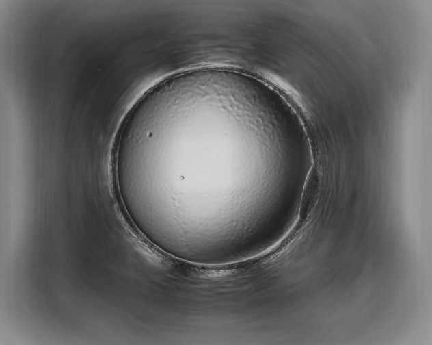 X0000108481423200904091428