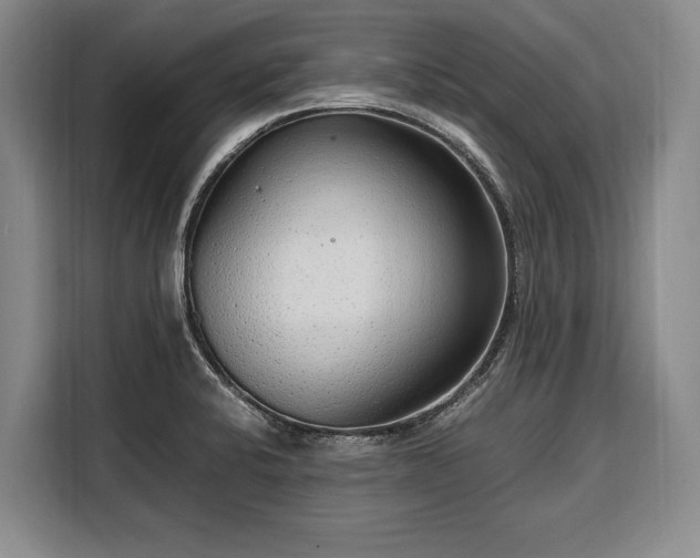X0000108481424200904091428