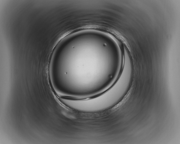 X0000108481425200904091428