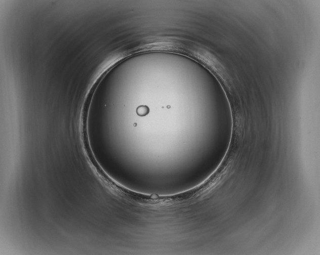 X0000108481426200904091428