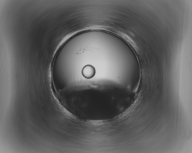 X0000108481428200904091428