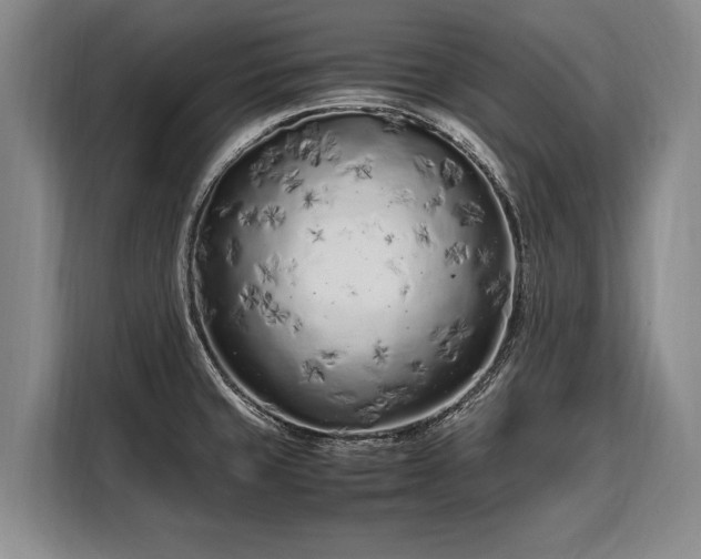 X0000108481429200904091428