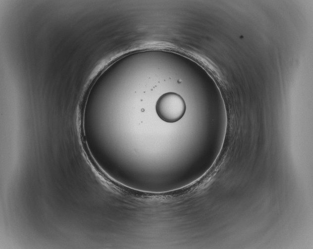 X0000108481430200904091428