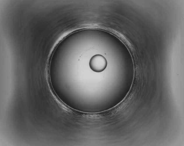 X0000108481432200904091428