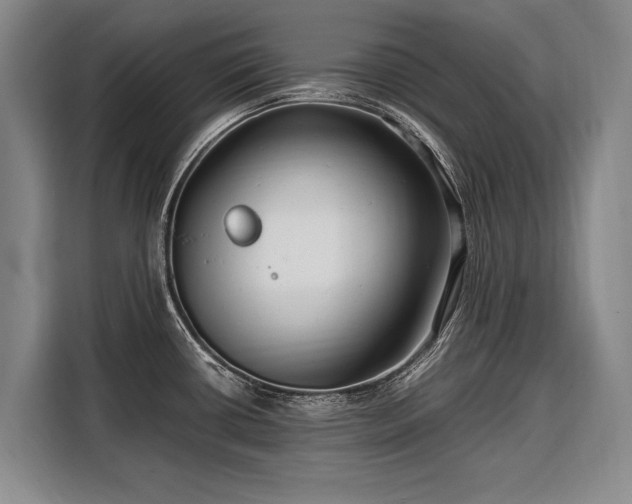 X0000108481434200904091428