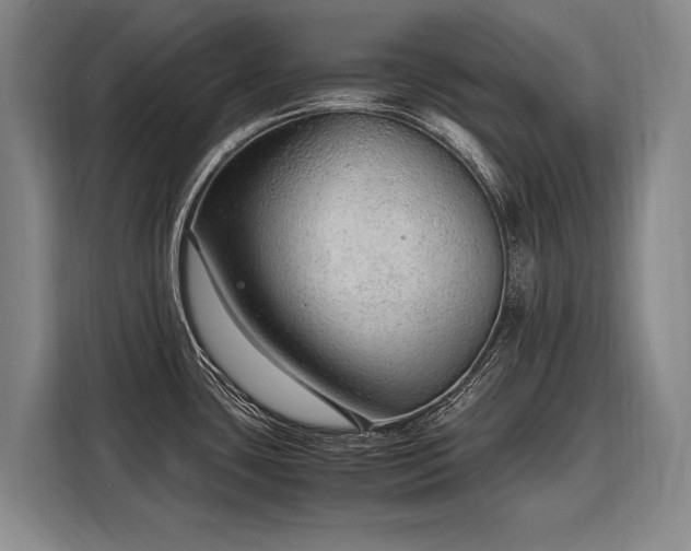 X0000108481435200904091428