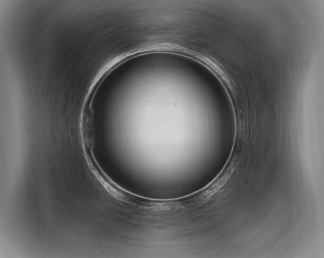 X0000108481438200904091428