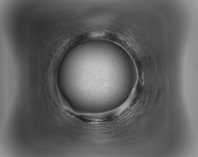 X0000108481441200904091428