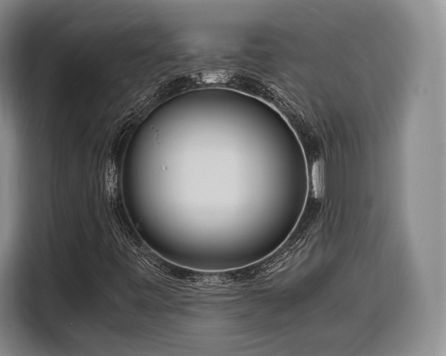 X0000108481443200904091428