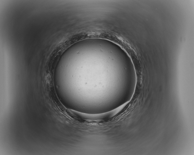X0000108481445200904091428