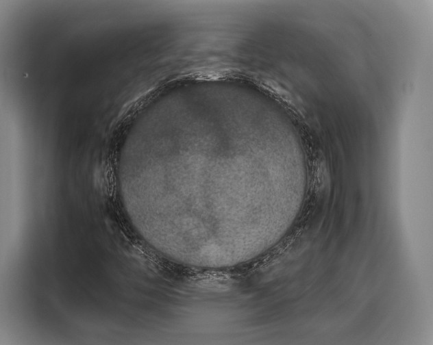 X0000108481446200904091428