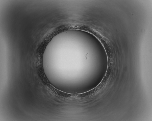 X0000108481447200904091428