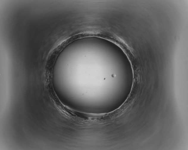 X0000108481448200904091428
