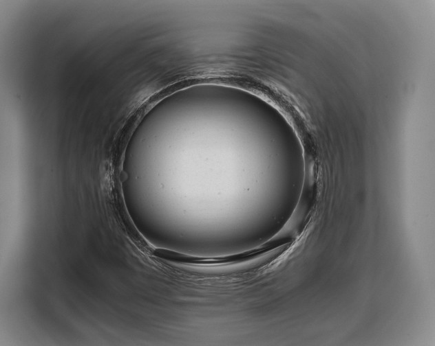 X0000108481449200904091428
