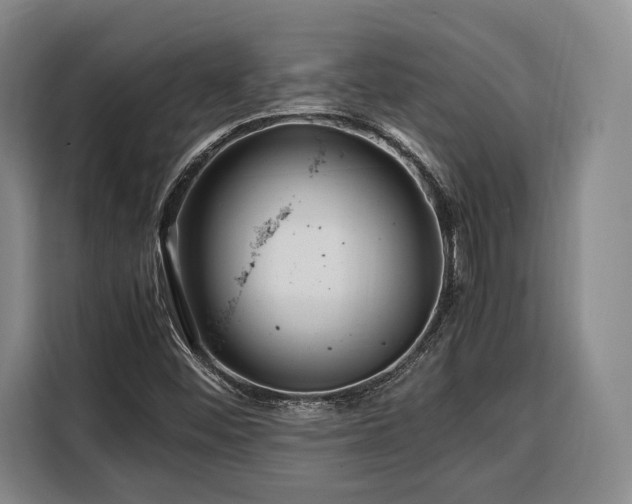 X0000108481452200904091428
