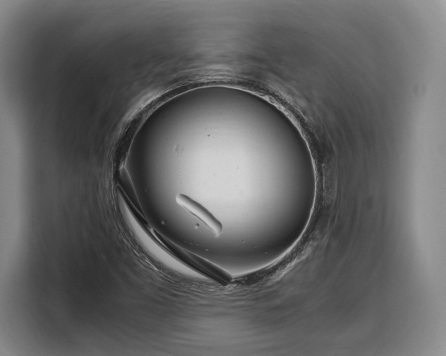 X0000108481453200904091428