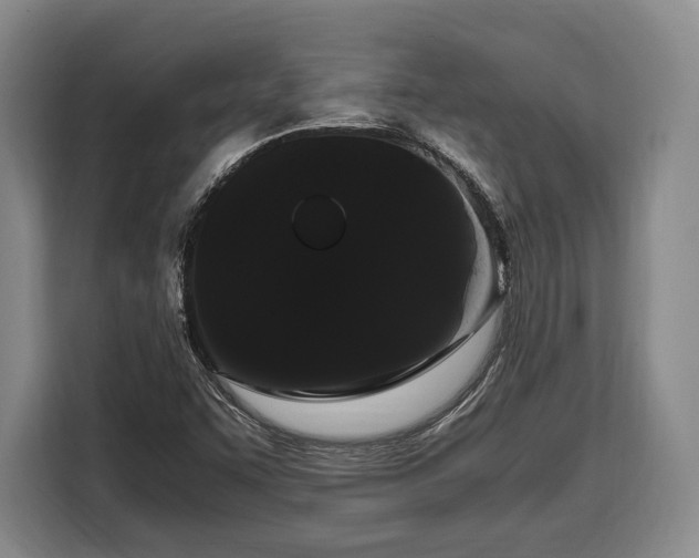 X0000108481455200904091427
