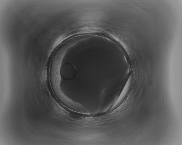 X0000108481459200904091427