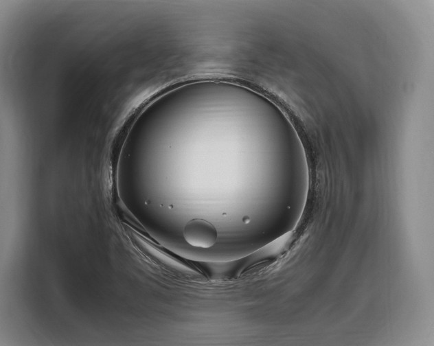 X0000108481461200904091427