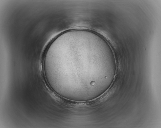 X0000108481462200904091427