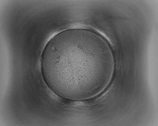 X0000108481463200904091427