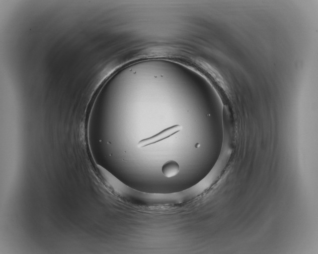 X0000108481465200904091427
