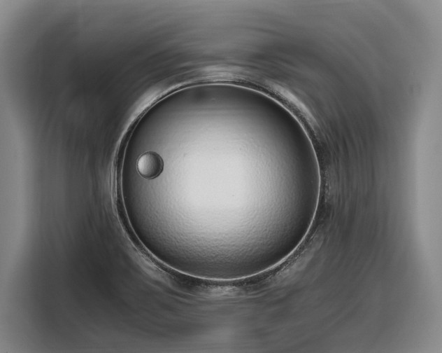 X0000108481467200904091427