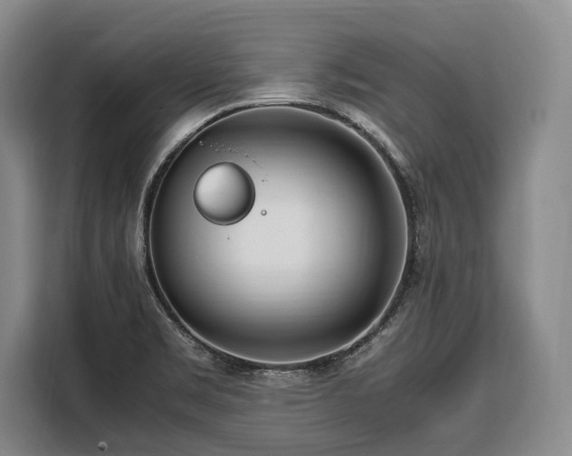 X0000108481469200904091427