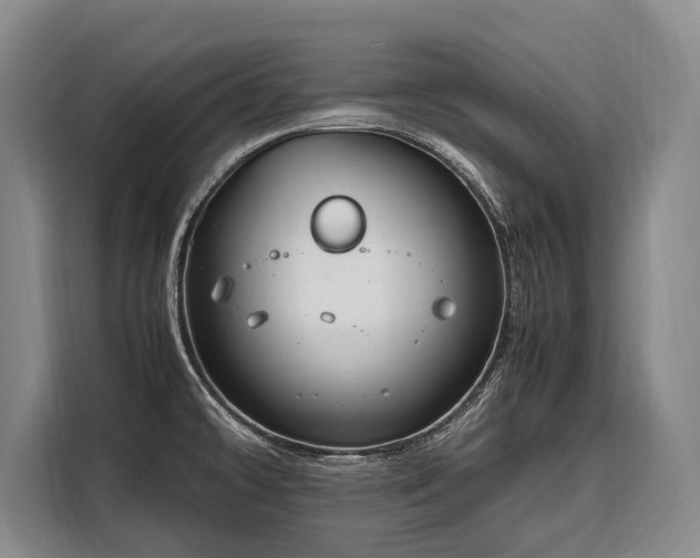 X0000108481478200904091427