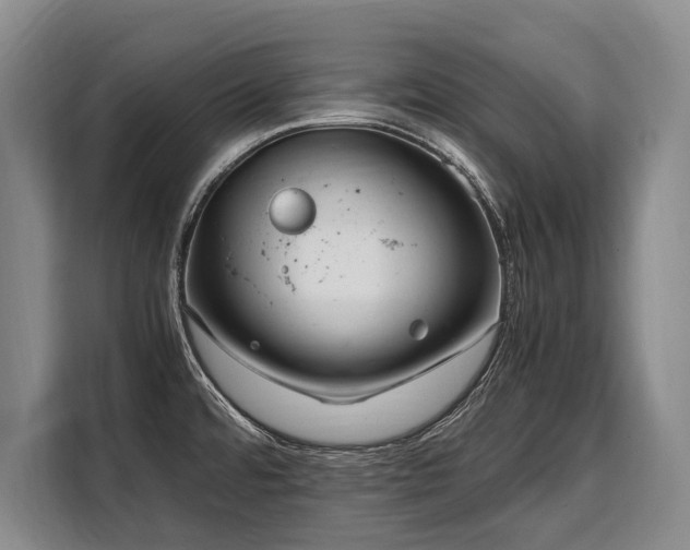 X0000108481480200904091427