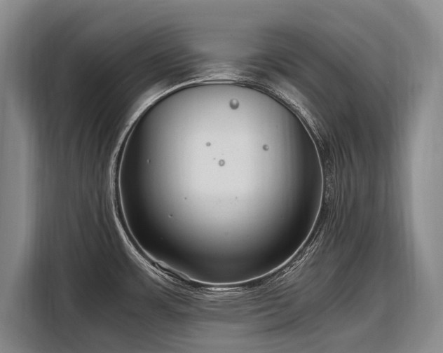 X0000108481483200904091427