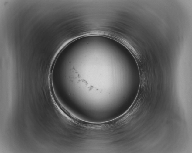 X0000108481484200904091427