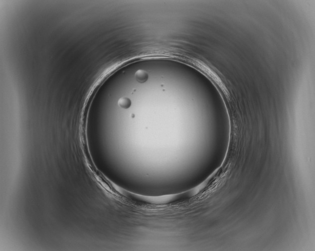 X0000108481485200904091427