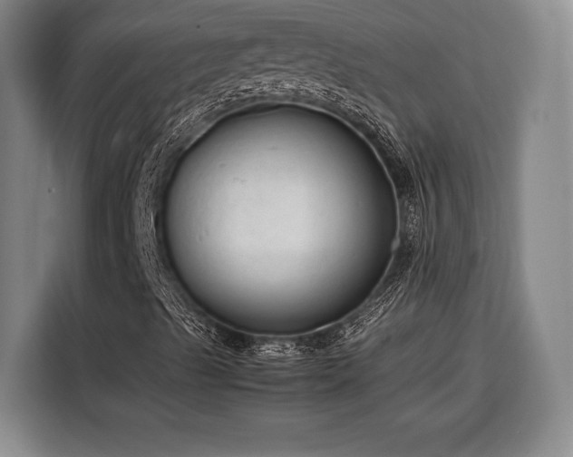 X0000108481489200904091426