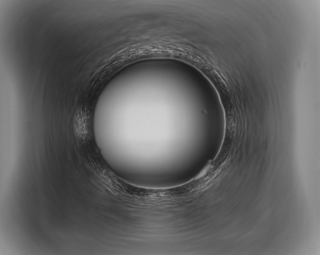 X0000108481490200904091426