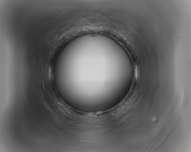 X0000108481492200904091426