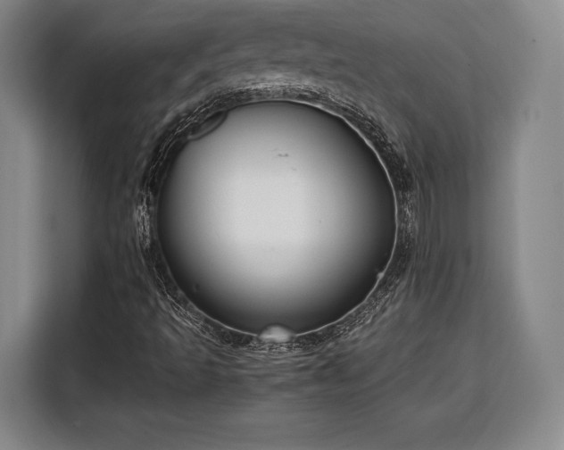 X0000108481493200904091426