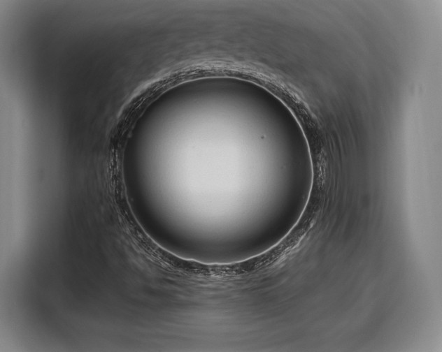 X0000108481494200904091426
