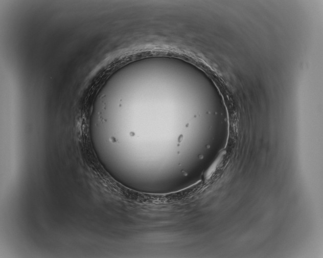 X0000108481495200904091427