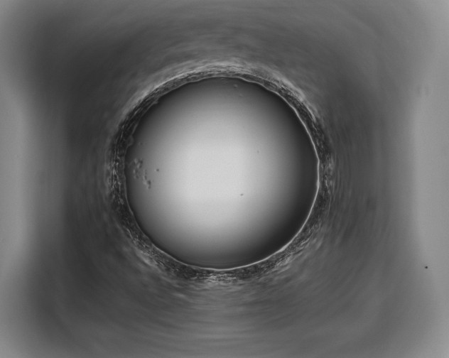 X0000108481496200904091427