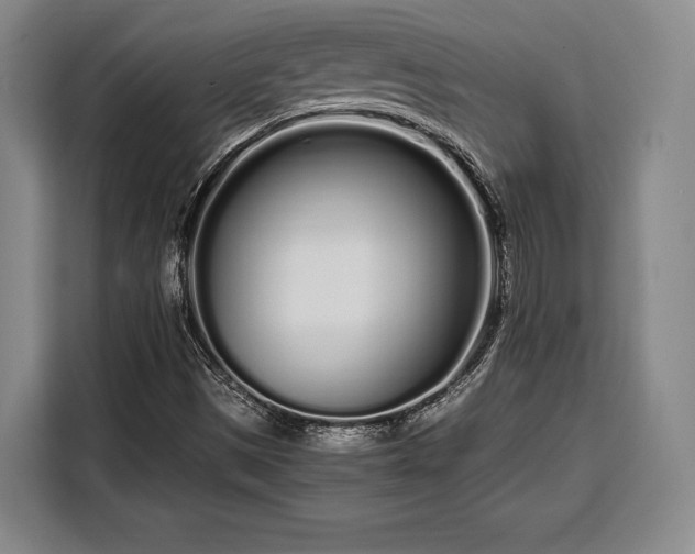X0000108481497200904091427