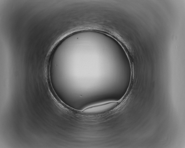 X0000108481500200904091427